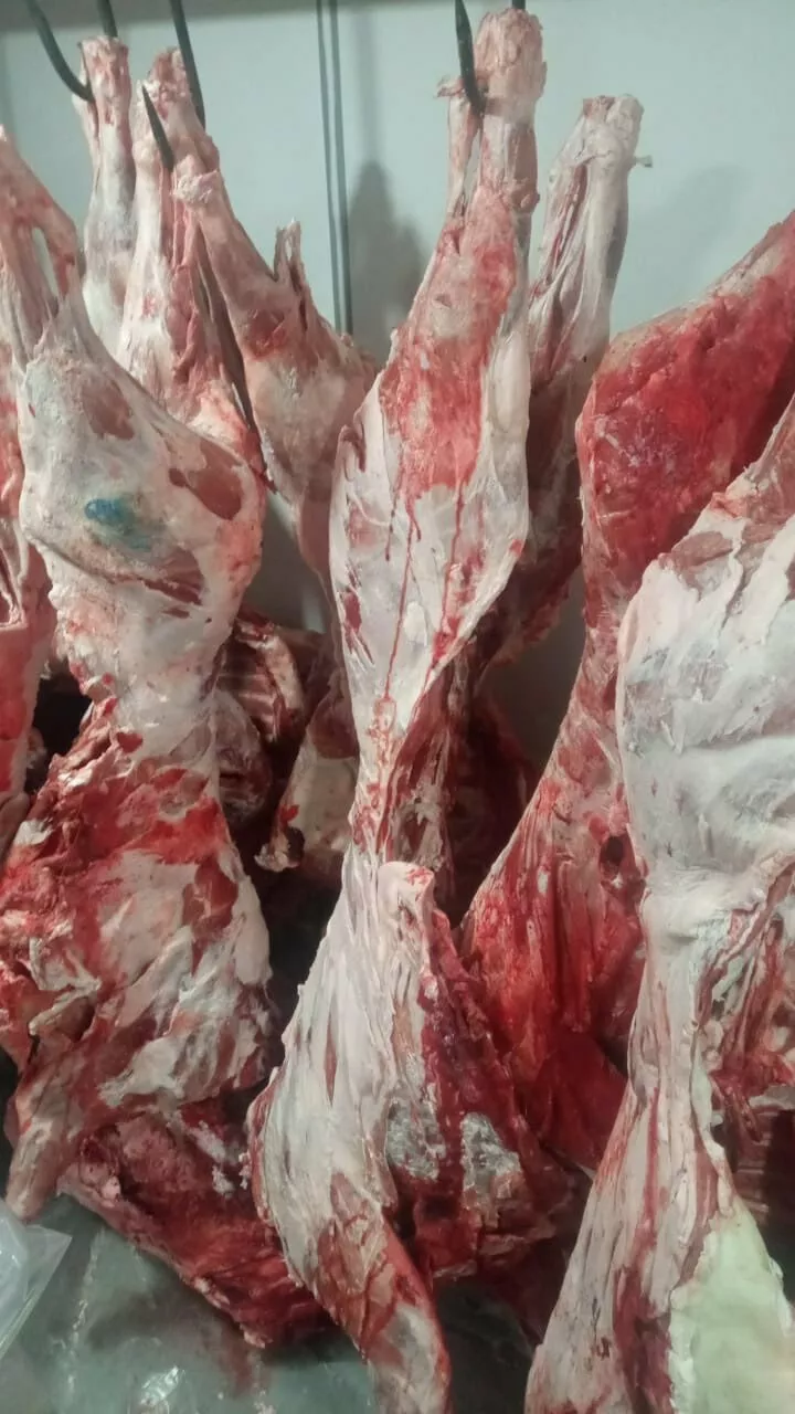 мясо кабана  в Кургане и Курганской области