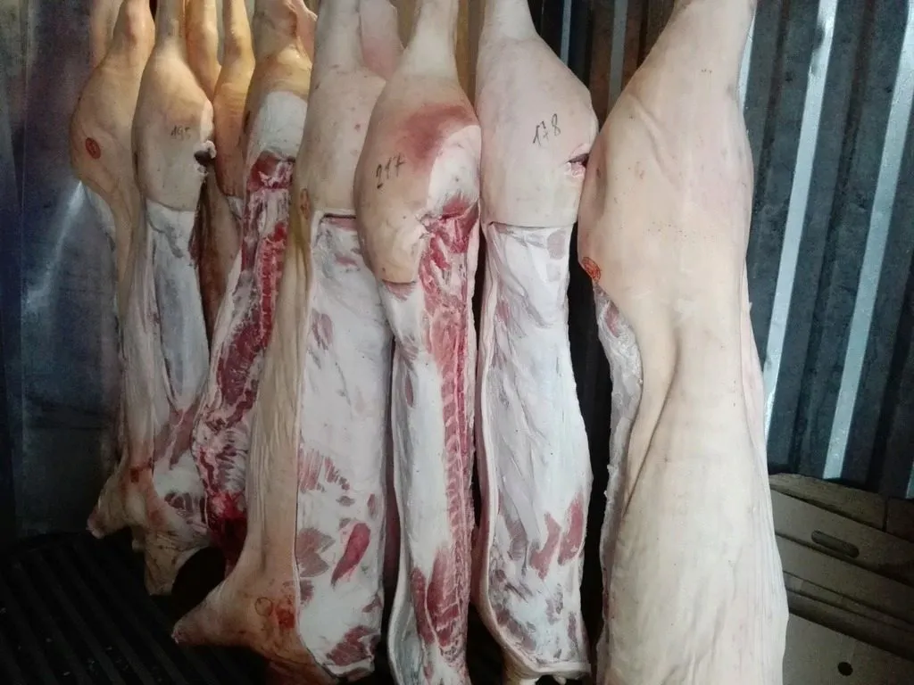 Фотография продукта Свинина  в полутушах. 188 р/кг