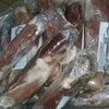 говяд свинина конина птица рыба!АнжСуж в Анжеро-Судженске 2