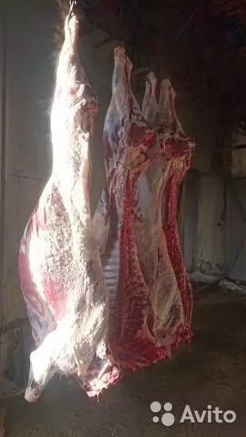 фотография продукта Мясо говядины полутуши