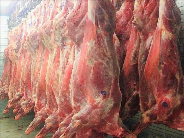 мясо говядина в Кургане