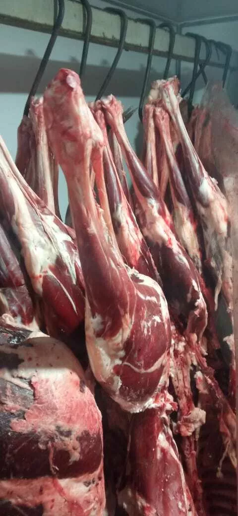 мясо лося и косули в Кургане и Курганской области