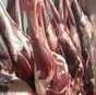 мясо лося и косули в Кургане и Курганской области