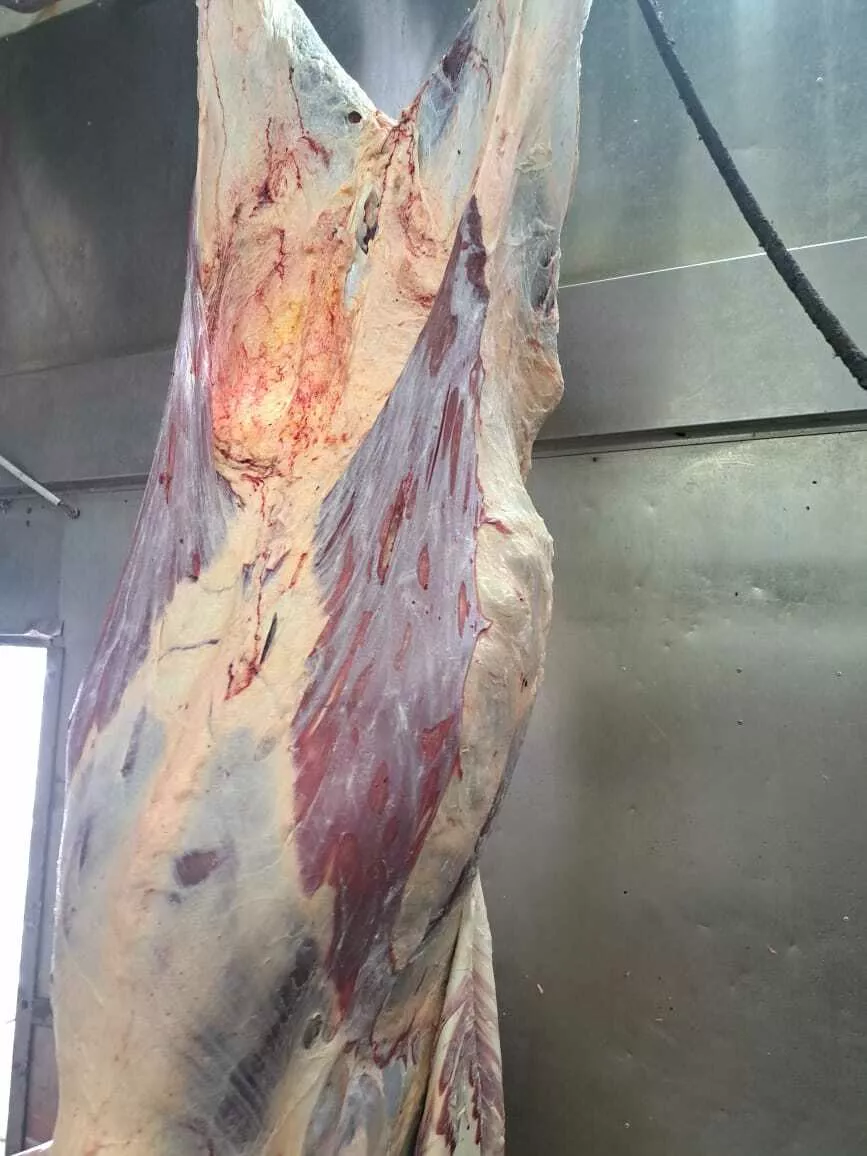 мясо говядины в полутушах в Кургане