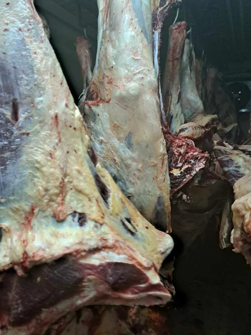 мясо говядины в полутушах в Кургане 3